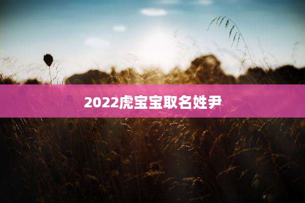 2022虎宝宝取名姓尹