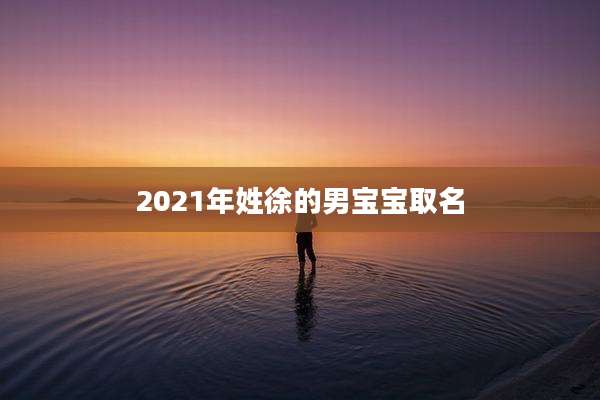 2021年姓徐的男宝宝取名