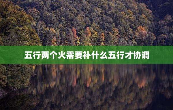 五行两个火需要补什么五行才协调