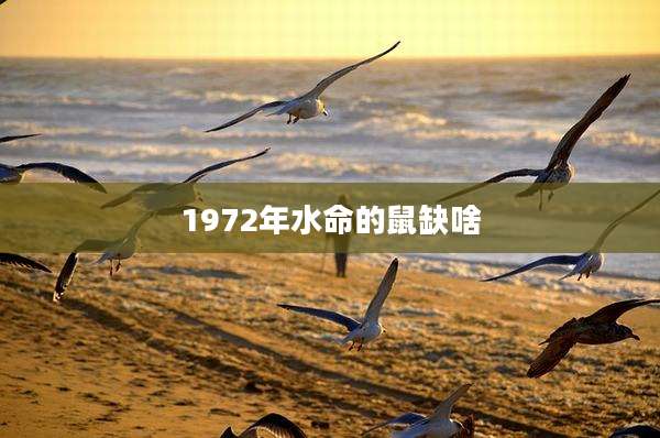1972年水命的鼠缺啥