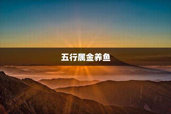 五行属金养鱼