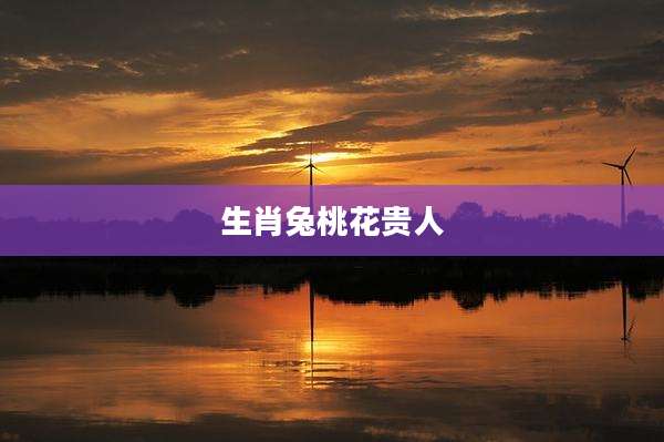 生肖兔桃花贵人