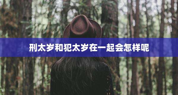 刑太岁和犯太岁在一起会怎样呢