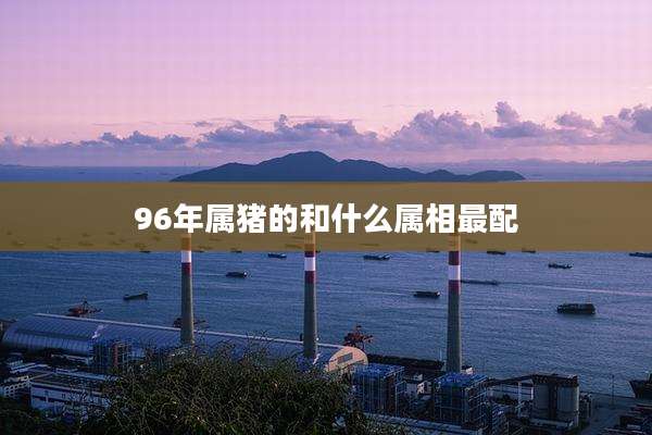 96年属猪的和什么属相最配