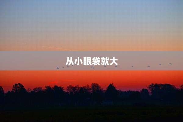 从小眼袋就大