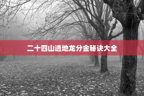二十四山透地龙分金秘诀大全