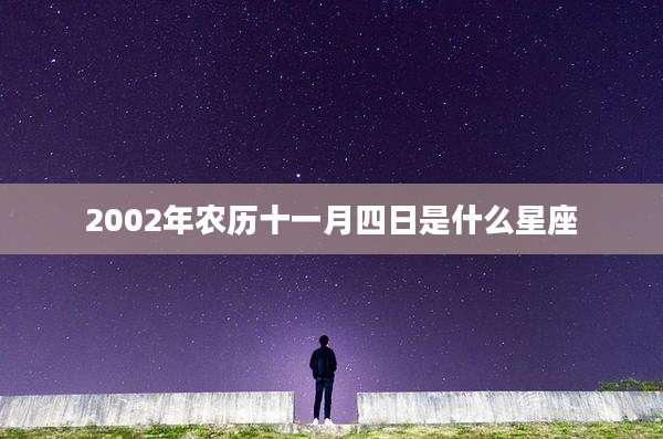 2002年农历十一月四日是什么星座