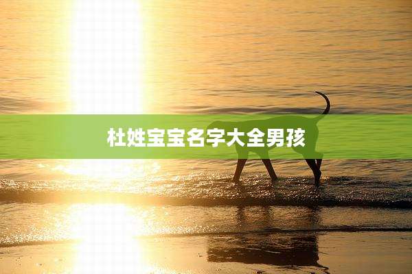 杜姓宝宝名字大全男孩
