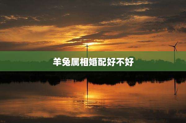 羊兔属相婚配好不好