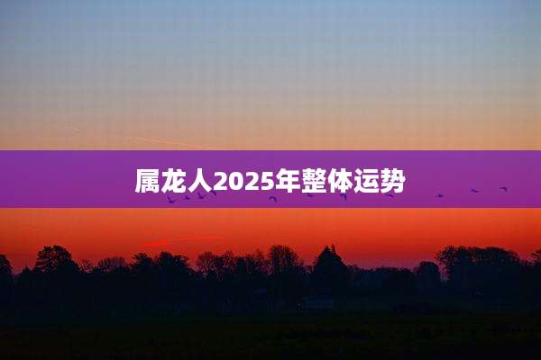 属龙人2025年整体运势