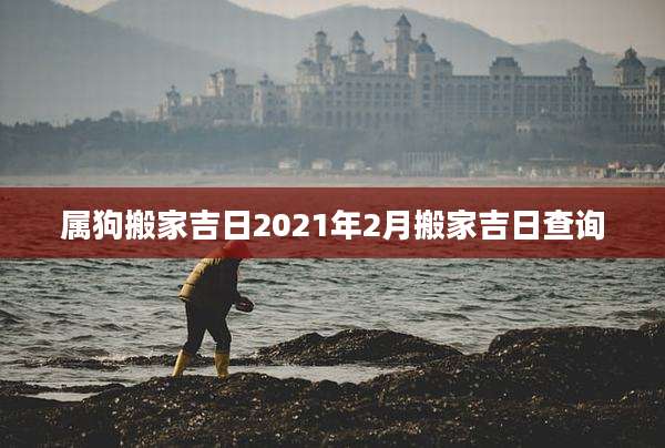 属狗搬家吉日2021年2月搬家吉日查询