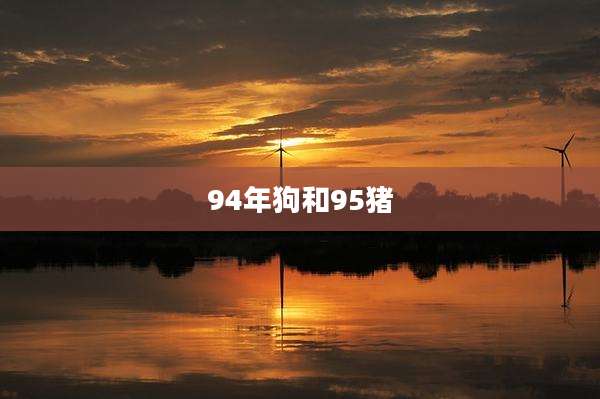 94年狗和95猪