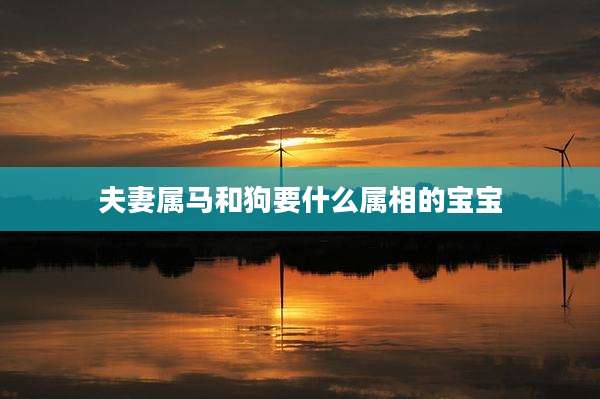 夫妻属马和狗要什么属相的宝宝