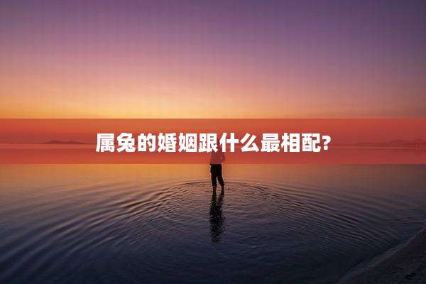 属兔的婚姻跟什么最相配?