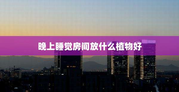 晚上睡觉房间放什么植物好