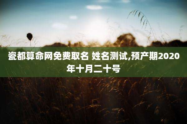 瓷都算命网免费取名 姓名测试,预产期2020年十月二十号