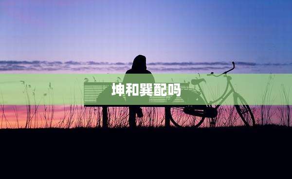 坤和巽配吗