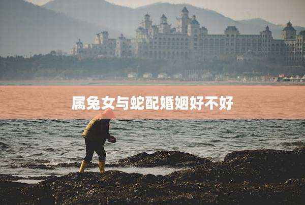 属兔女与蛇配婚姻好不好