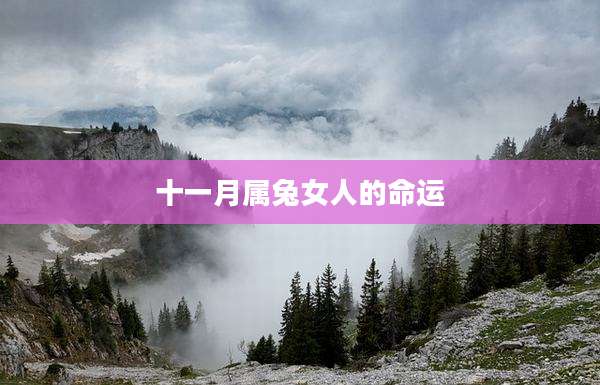 十一月属兔女人的命运