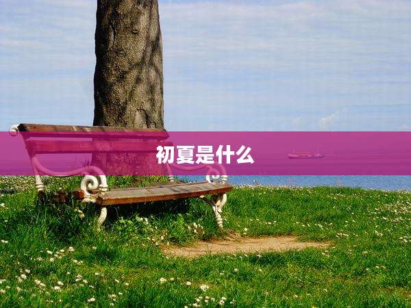 初夏是什么