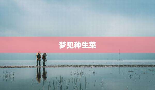 梦见种生菜