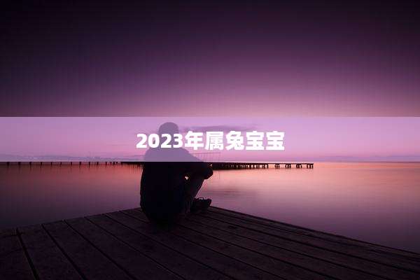 2023年属兔宝宝