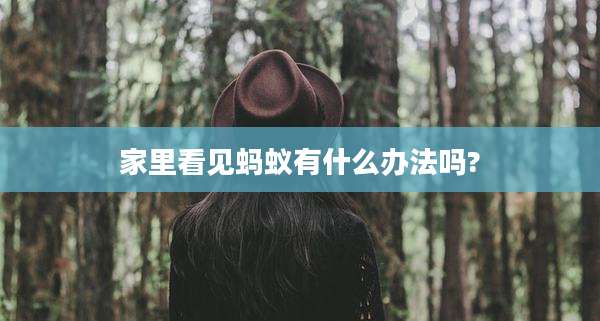 家里看见蚂蚁有什么办法吗?