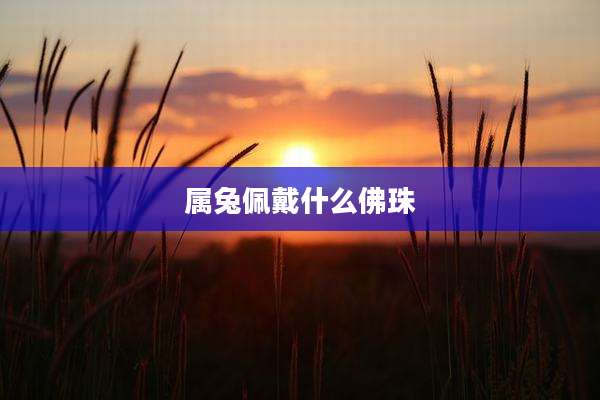 属兔佩戴什么佛珠