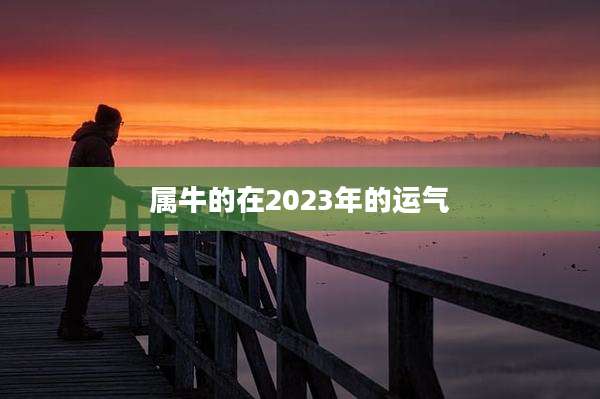 属牛的在2023年的运气