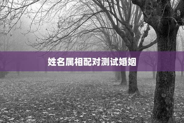 姓名属相配对测试婚姻