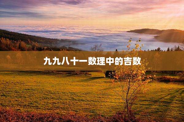 九九八十一数理中的吉数