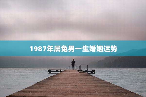 1987年属兔男一生婚姻运势