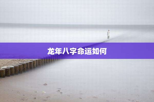 龙年八字命运如何