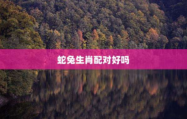 蛇兔生肖配对好吗