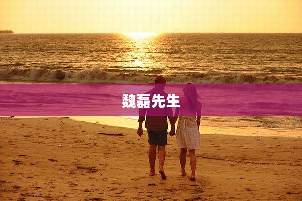魏磊先生