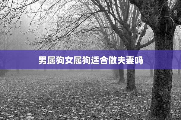 男属狗女属狗适合做夫妻吗