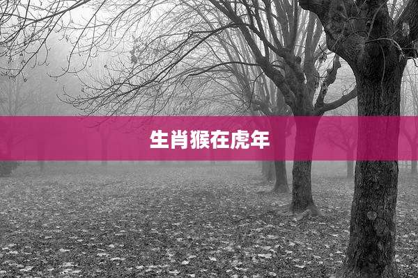 生肖猴在虎年