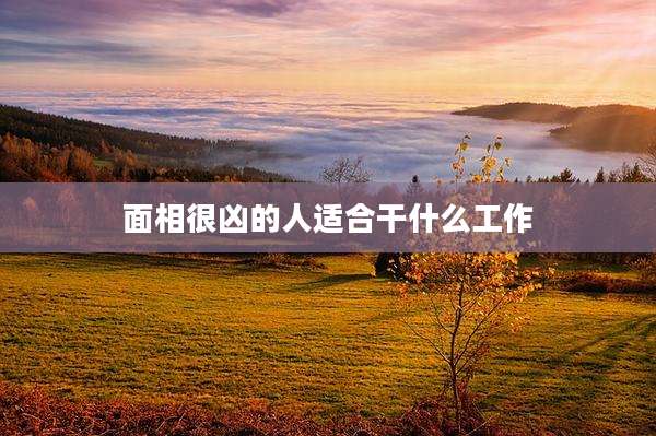 面相很凶的人适合干什么工作