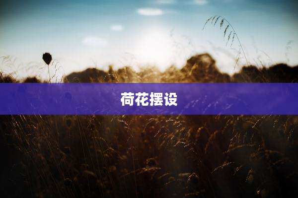 荷花摆设