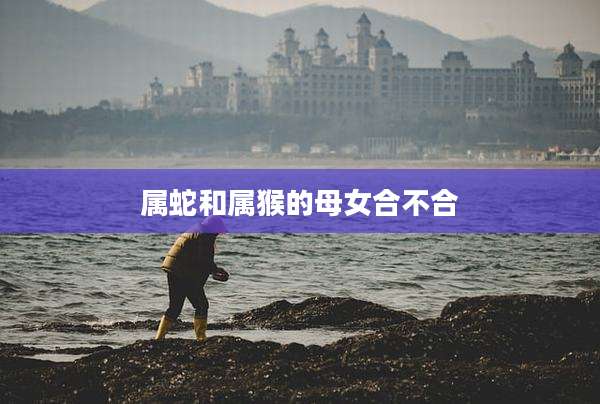 属蛇和属猴的母女合不合
