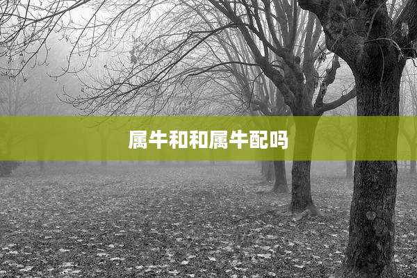属牛和和属牛配吗