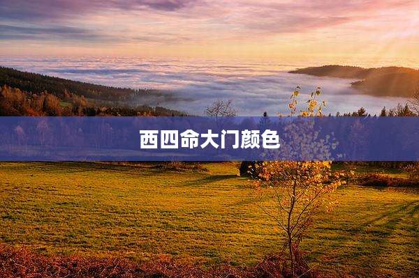 西四命大门颜色