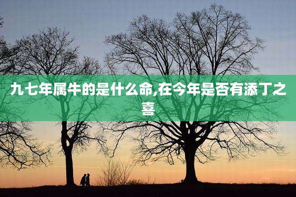 九七年属牛的是什么命,在今年是否有添丁之喜