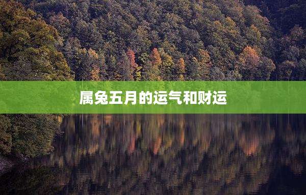 属兔五月的运气和财运