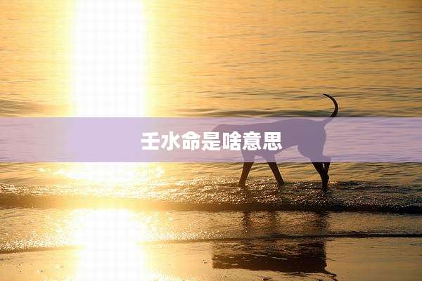 壬水命是啥意思