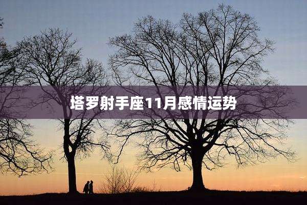 塔罗射手座11月感情运势