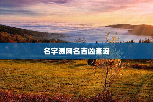 名字测网名吉凶查询