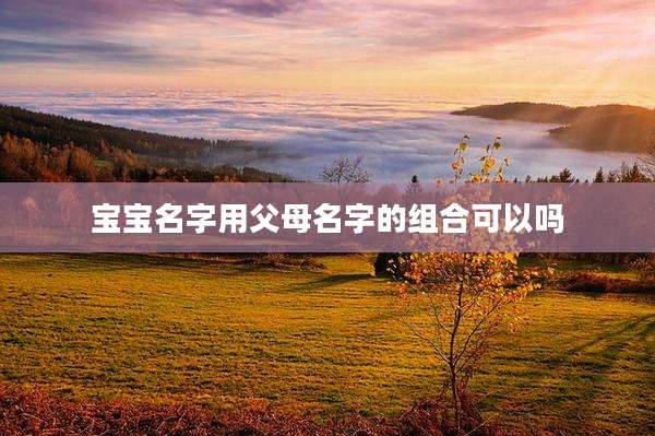 宝宝名字用父母名字的组合可以吗