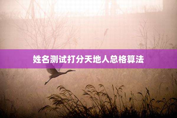 姓名测试打分天地人总格算法