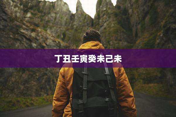 丁丑壬寅癸未己未